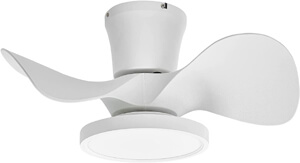 small ceiling fan
