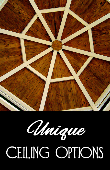 Unique Ceiling Options for Your Home